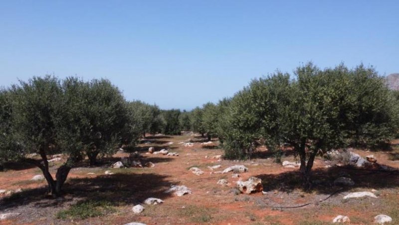 Chorafakia Kreta, Chorafakia: Schönes Grundstück mit Meerblick und Bergblick zu verkaufen Grundstück kaufen